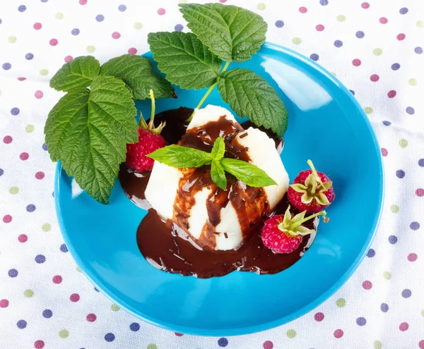 Kremalı Puding Çikolata Sosu Ahududu Güzel Çok Renkli Masa Örtüsü — Stok fotoğraf