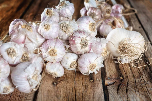 Bundles Fresh Garlic Dried Vintage Wooden Table Copy Space — Stock Photo, Image