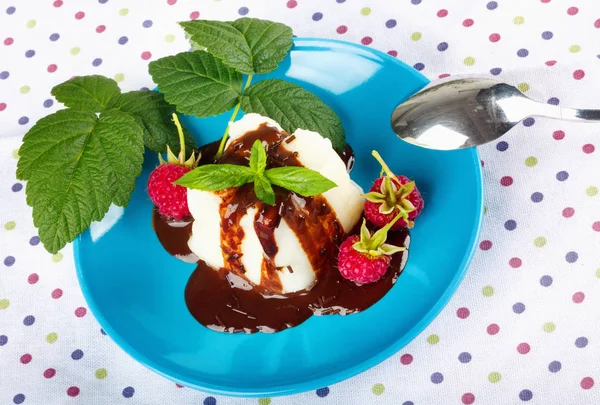 Kremalı Puding Çikolata Sosu Ahududu Güzel Çok Renkli Masa Örtüsü — Stok fotoğraf
