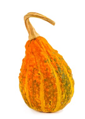 Kabak izole beyaz zemin üzerinde. Taze, portakal ve dekoratif