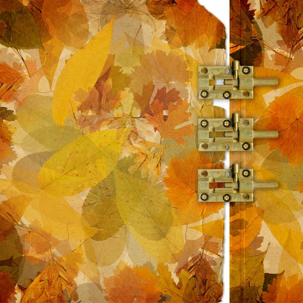 Colorful Autumn Foliage Chaotic Order Abstract Background Vintage Paper Photo — Stock Photo, Image