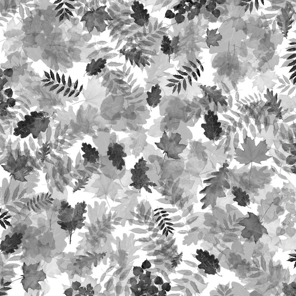 Black White Autumn Foliage Chaotic Order Abstract Background Top View — Stock Photo, Image