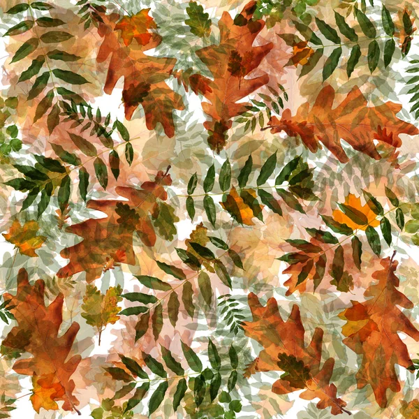 Farbenfrohes Herbstlaub Chaotischer Ordnung Auf Abstraktem Hintergrund Von Oben Flache — Stockfoto