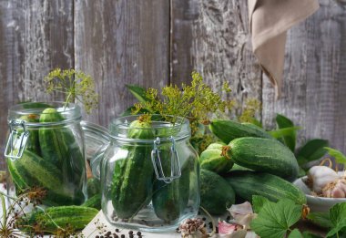 Salatalık ile dereotu ve sarımsaklı ahşap masa üzerinde cam kavanozlara korunmuş 