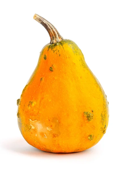 Calabaza Sobre Fondo Blanco Aislado Fresco Naranja Decorativo — Foto de Stock