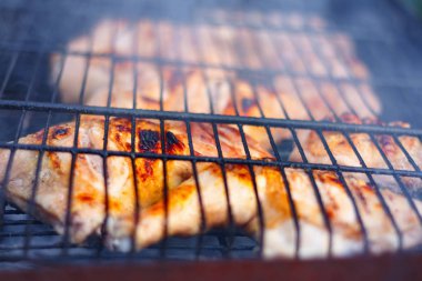 Taze tavuk budu metal ızgara. Doğada yaz pikniği