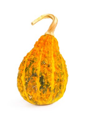 Kabak izole beyaz zemin üzerinde. Taze, portakal ve dekoratif