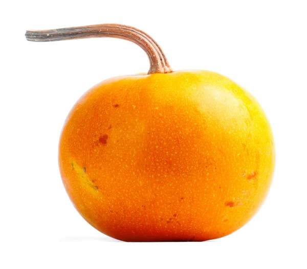 Pumpkin Isolated White Background Fresh Orange Decorative — Stock Photo, Image