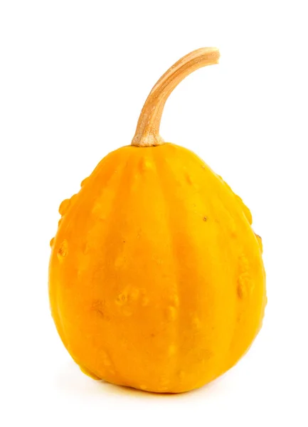 Calabaza Sobre Fondo Blanco Aislado Fresco Naranja Decorativo — Foto de Stock