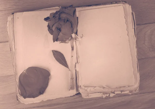 空白のページがテキストとヴィンテージの木製のテーブルで乾燥したローズの古い本を開く — ストック写真