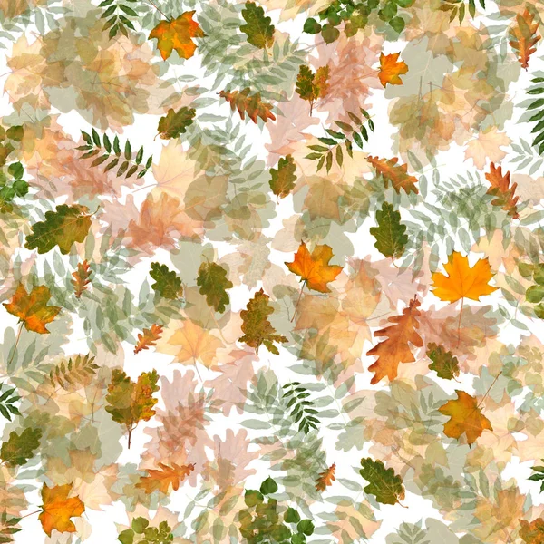Farbenfrohes Herbstlaub Chaotischer Ordnung Auf Abstraktem Hintergrund Von Oben Flache — Stockfoto