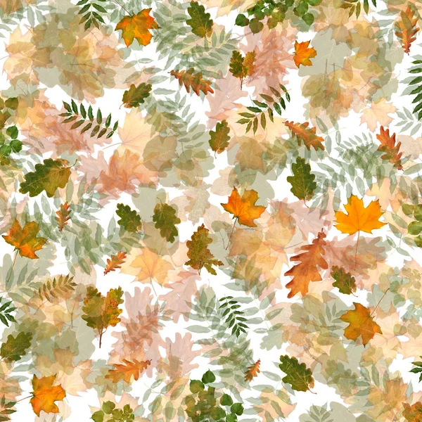 Colorful Autumn Foliage Chaotic Order Abstract Background Top View Flat — Stock Photo, Image