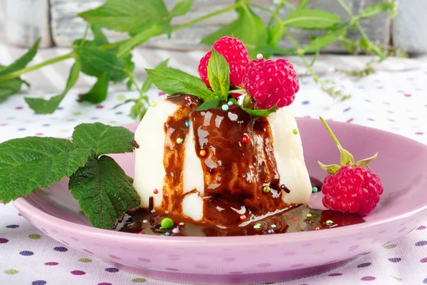 Cream Pudding Chocolate Sauce Raspberry Mint Beautiful Multicolored Tablecloth — Stock Photo, Image