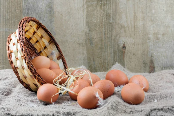 Fresh Chicken Eggs Straw Nest Wooden Wall Background — Stock Photo, Image