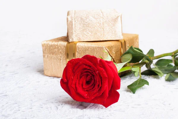 Rose Rouge Avec Feuilles Vertes Gouttes Eau Avec Cadeau Isolé — Photo