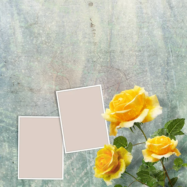 Krásné Žluté Růže Zelenými Listy Vícebarevné Pozadí Abstraktní — Stock fotografie