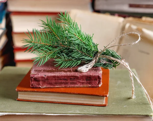 Fichtenzweig Mit Altem Seil Stapel Alter Vintage Bücher Universitätsbibliothek Gebunden — Stockfoto