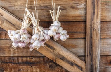 Taze sarımsak demetleri ahşap duvar üzerinde kurumuş. Kopya alanı.