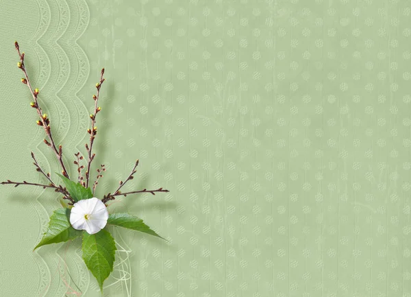 ヒルガオの開花枝にリボンと弓の招待状や挨拶のためのスクラップ ブックのスタイルで美しい繊細な花束 — ストック写真