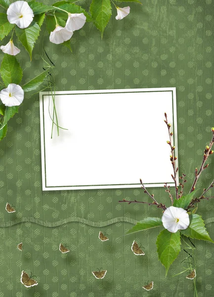 ヒルガオとリボン 蝶招待状や挨拶のためのスクラップ ブックのスタイルで弓と開花枝の美しい繊細な花束 — ストック写真