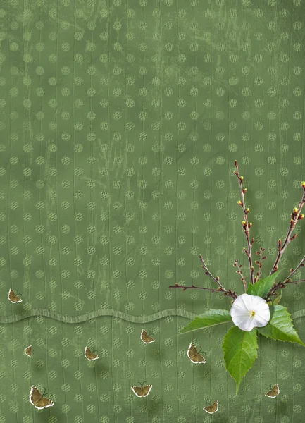 Kahkaha Çiçekli Dalları Şeritler Kelebekler Yay Davetiyeler Veya Selamlar Defterine — Stok fotoğraf