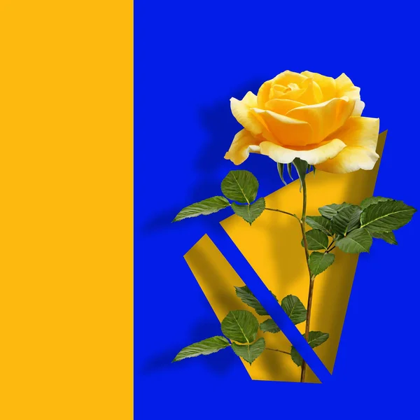当代现代艺术海报 与黄色玫瑰在蓝色抽象的背景 — 图库照片