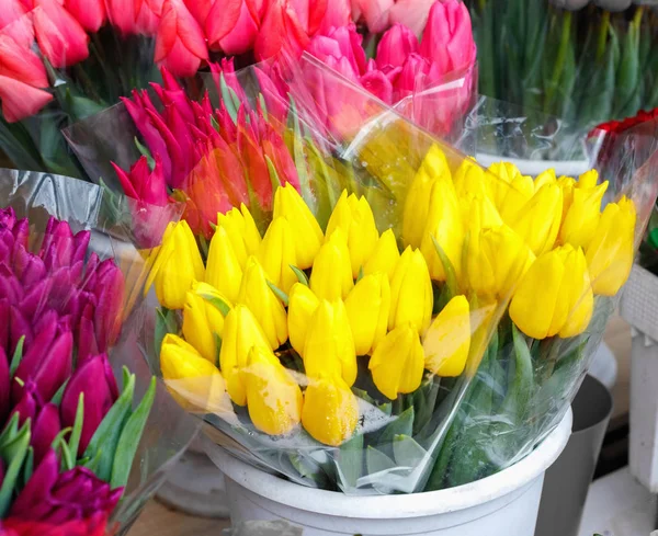 Tulipes Roses Autres Fleurs Colorées Dans Des Pots Entrée Petite — Photo