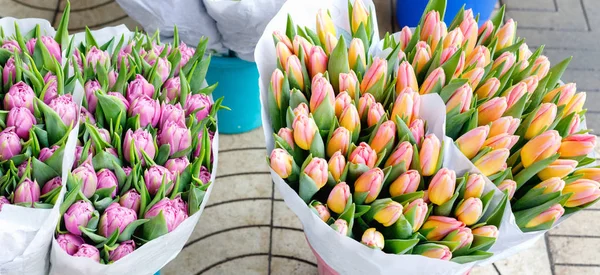 Barevné Tulipány Růže Další Květiny Květináčích Vstup Malé Květinářství — Stock fotografie