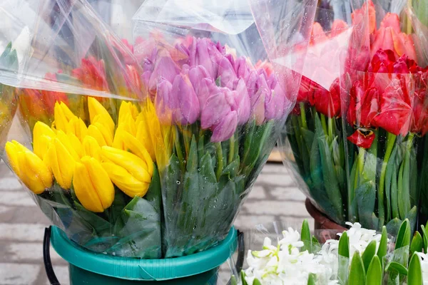 Barevné tulipány, růže a další květiny v květináčích na vstupu — Stock fotografie