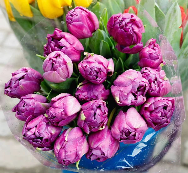 Tulipanes coloridos, rosas y otras flores en macetas en la entrada —  Fotos de Stock
