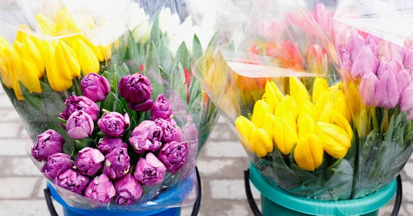 Kleurrijke tulpen, rozen en andere bloemen in potten bij binnenkomst — Stockfoto