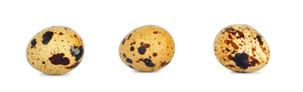 Fresh quail eggs on isolated background — Stock Photo, Image