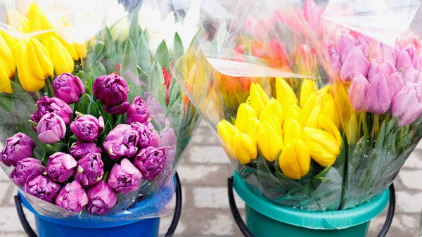 Barevné tulipány, růže a další květiny v květináčích na vstupu — Stock fotografie