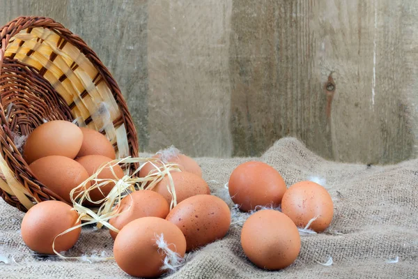 Fresh chicken eggs in straw nest on wall background — Stock Photo, Image