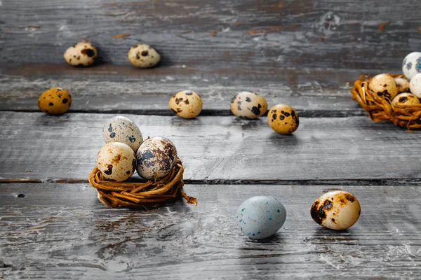 Fresh quail eggs in  rustic barn waiting for  happy Easter — Stock Photo, Image