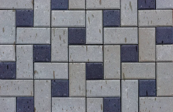 Multicolored paving slabs by mosaic on shop window outdoor. — Stock Photo, Image