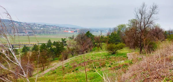 Piękny wiejski krajobraz wiosenny z lasem, rzeka na pochmurny deszczowy dzień. — Zdjęcie stockowe