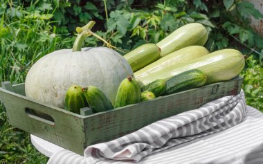 Olgun salatalık kabak ve ahşap masa ahşap kutusunda kabak hasat