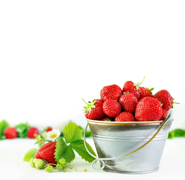 Fresas sabrosas maduras jugosas en cubo de metal sobre mesa de madera blanca . — Foto de Stock