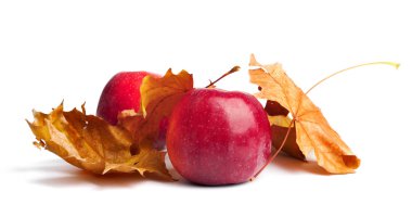 Izole arka plan üzerinde sonbahar yaprakları ile birkaç olgun sulu kırmızı elma