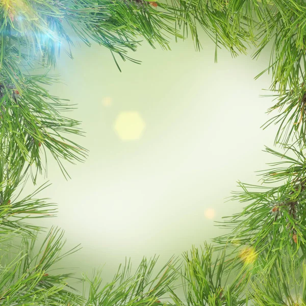 Kiefernzweig auf abstrakt grünem Hintergrund mit Schneeflocken — Stockfoto