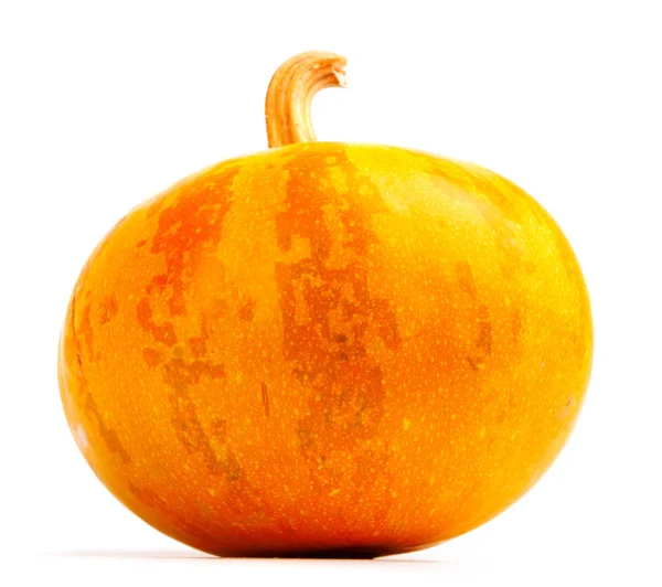 Izole beyaz arka plan üzerinde Kabak. Taze, turuncu — Stok fotoğraf