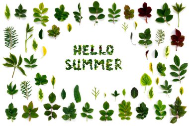 Beyaz izole edilmiş arka planda çeşitli yeşil yaprakların deseni. Yeşillikten gelen mektup 