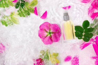 Saf su dalgaları içinde bir şişe parfüm. Çiçekler ve bir damla suyla birlikte narin gül yaprakları. Düz konum, üst görünüm, uzay konseptini kopyala. 