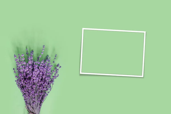 Lavanda Roxa Para Design Decoração Celebração Fundo Papel Verde Cartão — Fotografia de Stock