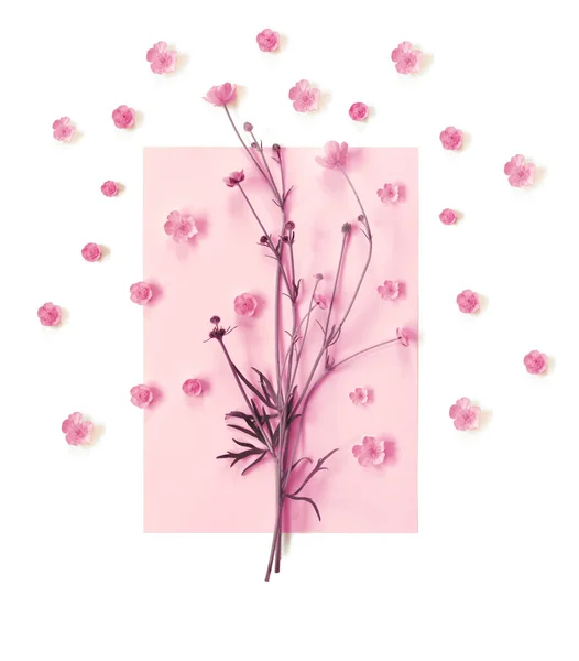 Belle Carte Postale Délicate Avec Motif Fleurs Boutons Jaunes Pour — Photo