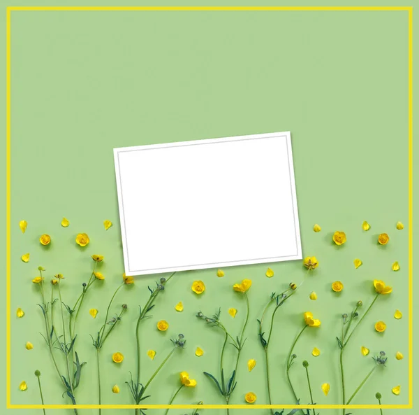 Cartão Postal Delicado Bonito Com Padrão Flores Buttercup Amarelas Para — Fotografia de Stock