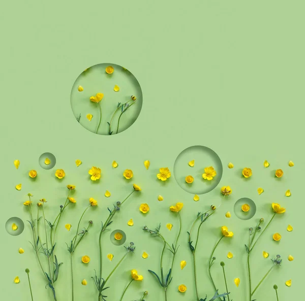Streszczenie Szalony Tło Pięknymi Żółtymi Kwiatami Jaskier — Zdjęcie stockowe