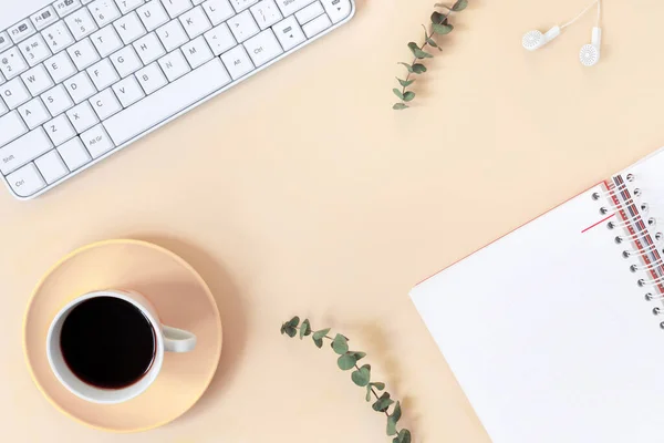 Top View Home Office Desk Laptop Notebook Headphones Eucalyptus Yellow — Stock Photo, Image