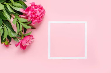 Pembe narin arka planda kağıt çerçeveli güzel şakayıklar.